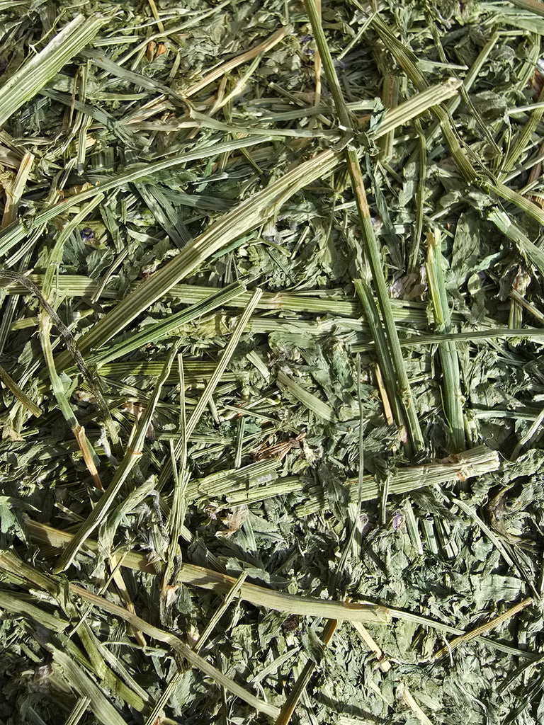 Heavenly Hay Bales – Premium 1200lb Sainfoin Forage